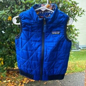 Patagonia vest